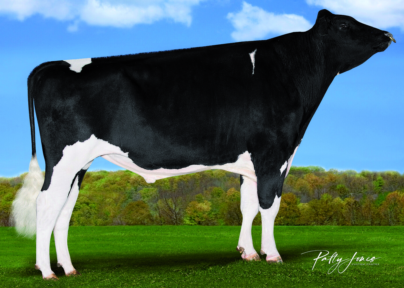 EQ — 515HO00386